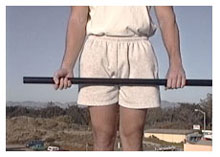 pole handhold